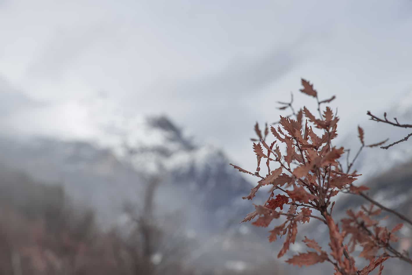 Panticosa